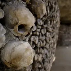 Wnętrze katakumb na cmentarzu, ściany wyłożone ludzkimi czaszkami i kośćmi.