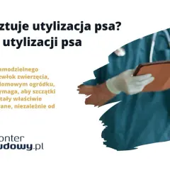 Weterynarz z tabletem i pies. Informacje o kosztach utylizacji psa i zakazie samodzielnego zakopywania.