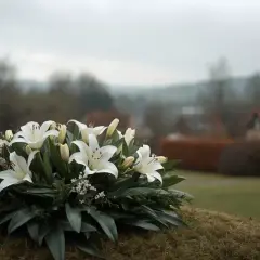 Białe lilie na tle wiejskiego krajobrazu. Wieniec pogrzebowy symbolizuje pamięć i szacunek, a zasiłek pogrzebowy KRUS pomaga w trudnych chwilach.