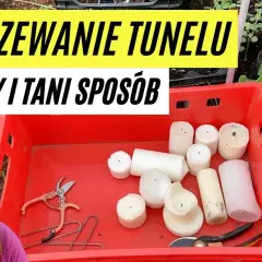 Jak ogrzać tunel foliowy w razie przymrozków i uratować rośliny