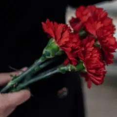 Dłoń trzyma bukiet czerwonych goździków, symbol pamięci i szacunku. Ile kwiatów na cmentarz, tyle wspomnień.