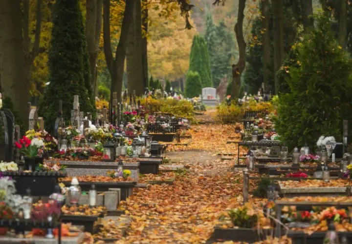 Jak znaleźć grób na cmentarzu? Sprawdzone sposoby na łatwe poszukiwania