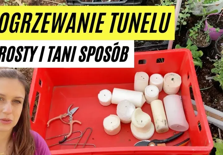 Jak ogrzać tunel foliowy w razie przymrozków i uratować rośliny