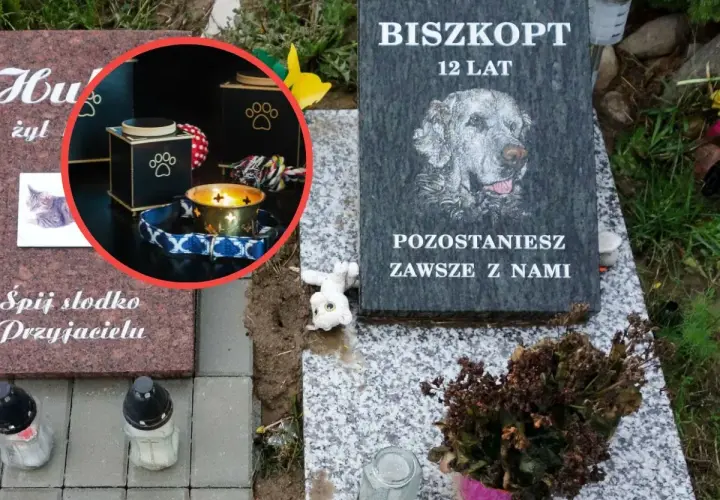Nagrobek psa Biszkopta, 12 lat. W okręgu urna i świeca. Pytanie: ile kosztuje kremacja psa?