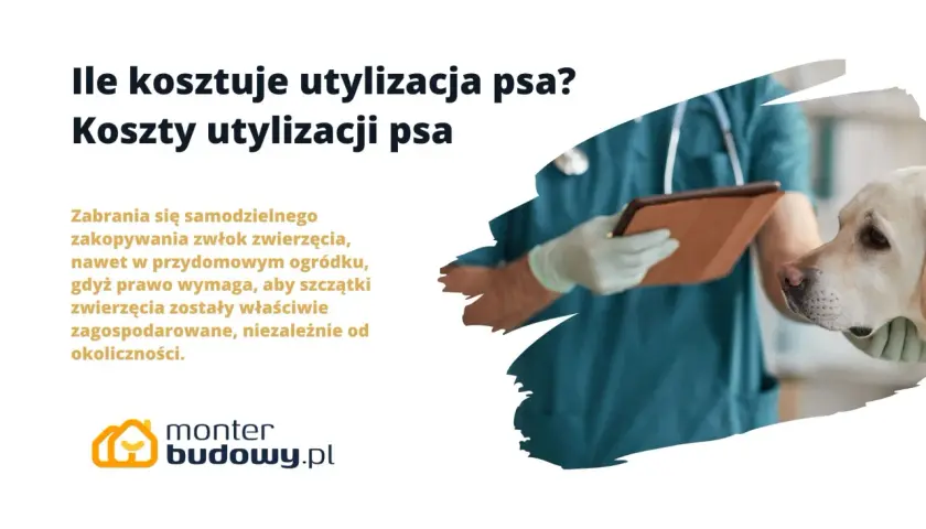 Weterynarz z tabletem i pies. Informacje o kosztach utylizacji psa i zakazie samodzielnego zakopywania.