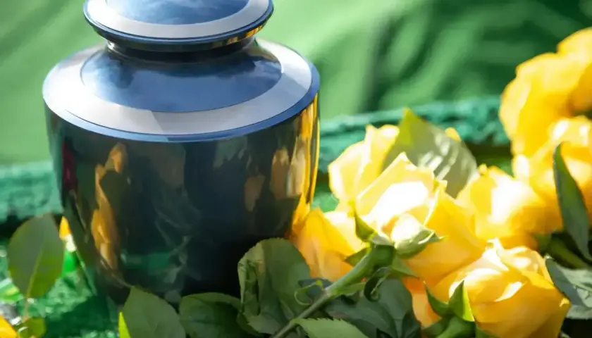 Niebieska urna pogrzebowa otoczona bujnymi, żółtymi różami. Kwiaty na pogrzebie z urną symbolizują pamięć i pożegnanie.