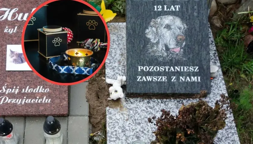 Nagrobek psa Biszkopta, 12 lat. W okręgu urna i świeca. Pytanie: ile kosztuje kremacja psa?