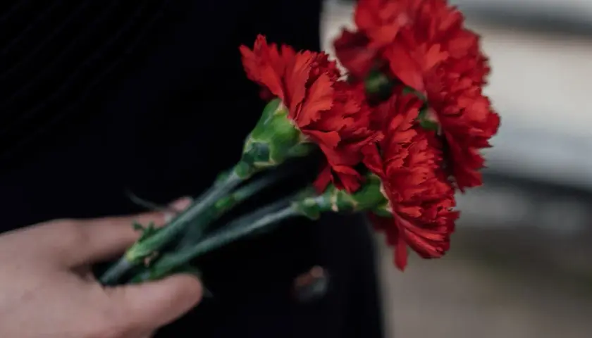 Dłoń trzyma bukiet czerwonych goździków, symbol pamięci i szacunku. Ile kwiatów na cmentarz, tyle wspomnień.