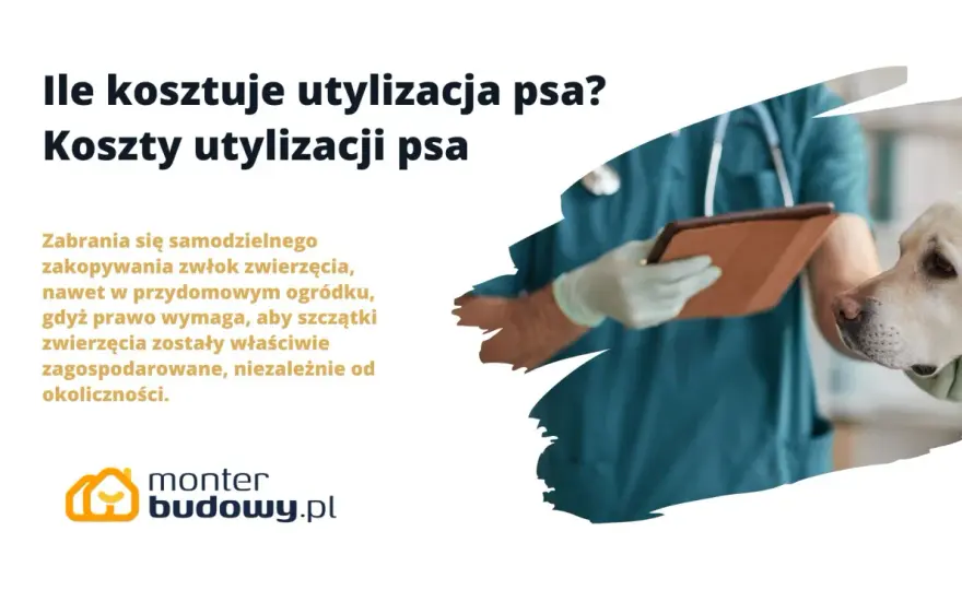 Utylizacja psa - Co zrobić po śmierci? Legalne opcje i koszty