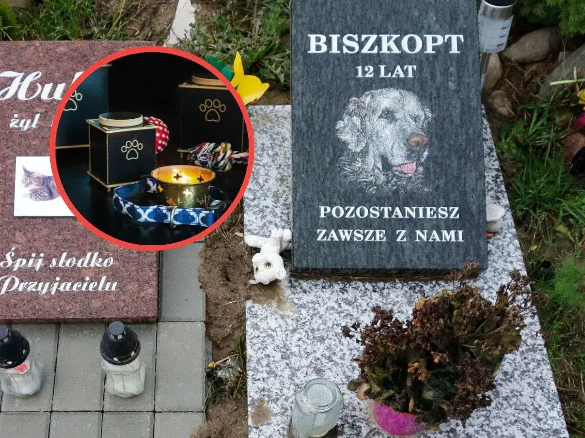 Nagrobek psa Biszkopta, 12 lat. W okręgu urna i świeca. Pytanie: ile kosztuje kremacja psa?